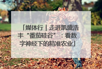 媒体行｜走进凯盛浩丰“番茄硅谷”：看数字神经下的精准农业