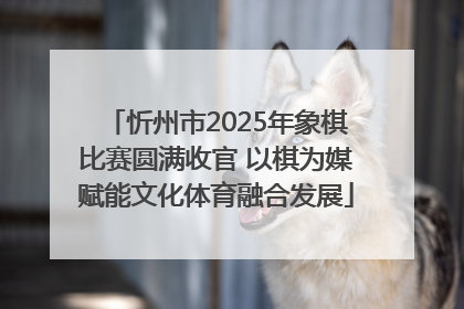 忻州市2025年象棋比赛圆满收官 以棋为媒赋能文化体育融合发展
