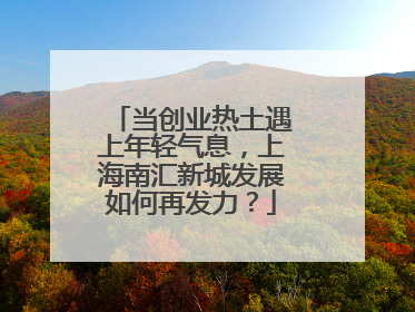 当创业热土遇上年轻气息，上海南汇新城发展如何再发力？