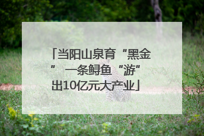 当阳山泉育“黑金” 一条鲟鱼“游”出10亿元大产业