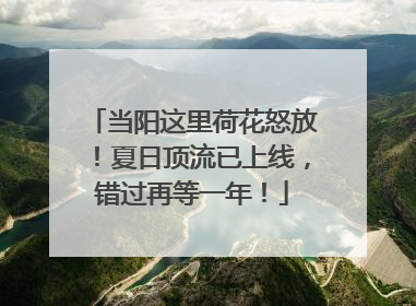 当阳这里荷花怒放！夏日顶流已上线，错过再等一年！