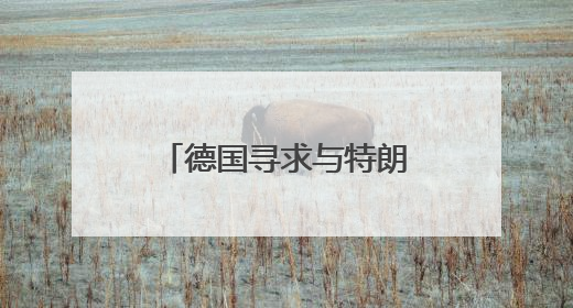 德国寻求与特朗普政府协调涉乌克兰问题立场