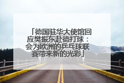 德国驻华大使馆回应樊振东赴德打球：会为欧洲的乒乓球联赛带来新的光彩
