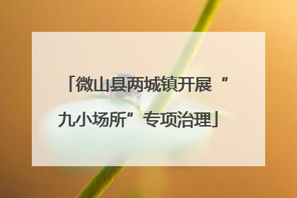 微山县两城镇开展“九小场所”专项治理