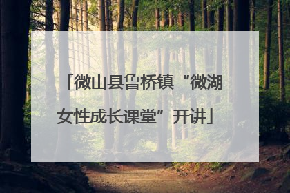 微山县鲁桥镇“微湖女性成长课堂”开讲