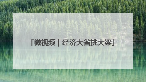 微视频｜经济大省挑大梁