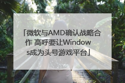微软与AMD确认战略合作 高呼要让Windows成为头号游戏平台