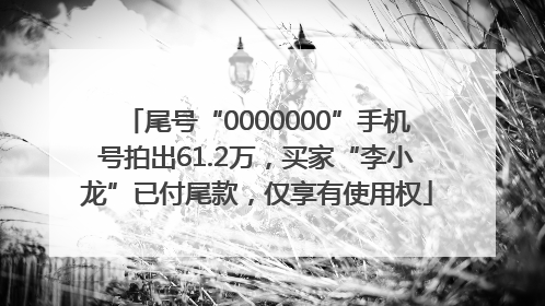 尾号“0000000”手机号拍出61.2万，买家“李小龙”已付尾款，仅享有使用权