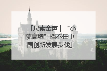 尺素金声｜“小院高墙”挡不住中国创新发展步伐
