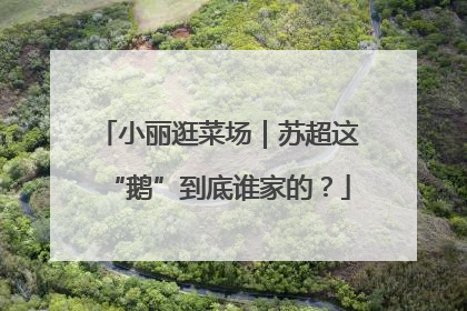 小丽逛菜场｜苏超这“鹅”到底谁家的？