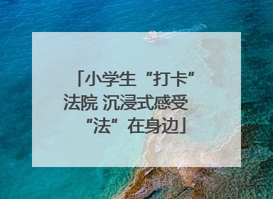 小学生“打卡”法院 沉浸式感受“法”在身边