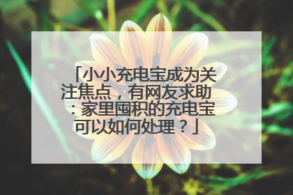 小小充电宝成为关注焦点，有网友求助：家里囤积的充电宝可以如何处理？