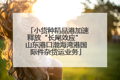 小货种精品港加速释放“长尾效应” 山东港口渤海湾港国际件杂货运业务