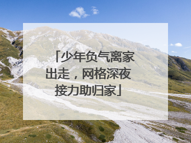 少年负气离家出走，网格深夜接力助归家