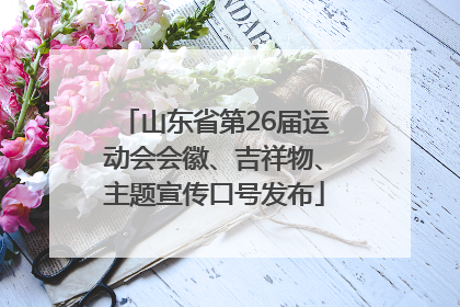 山东省第26届运动会会徽、吉祥物、主题宣传口号发布