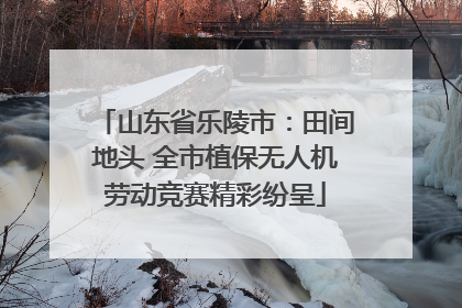 山东省乐陵市：田间地头 全市植保无人机劳动竞赛精彩纷呈