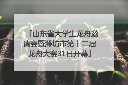 山东省大学生龙舟邀请赛暨潍坊市第十二届龙舟大赛31日开幕