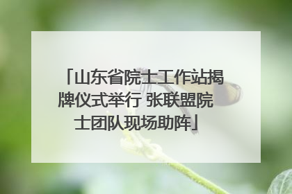 山东省院士工作站揭牌仪式举行 张联盟院士团队现场助阵