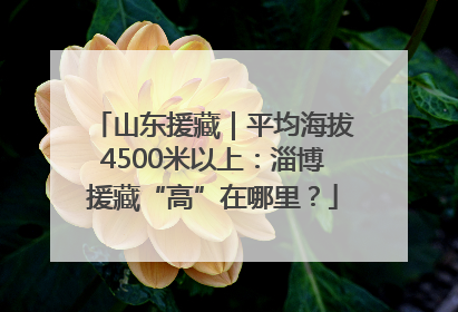 山东援藏｜平均海拔4500米以上：淄博援藏“高”在哪里？