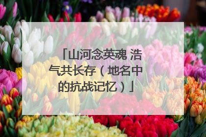 山河念英魂 浩气共长存（地名中的抗战记忆）