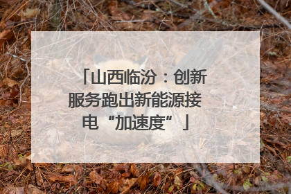 山西临汾：创新服务跑出新能源接电“加速度”