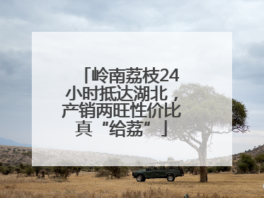 岭南荔枝24小时抵达湖北，产销两旺性价比真“给荔”