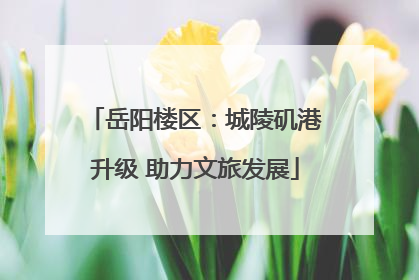 岳阳楼区：城陵矶港升级 助力文旅发展