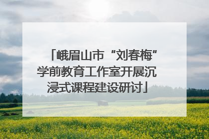 峨眉山市“刘春梅”学前教育工作室开展沉浸式课程建设研讨