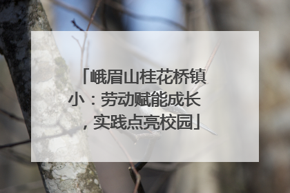 峨眉山桂花桥镇小：劳动赋能成长，实践点亮校园