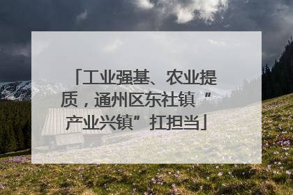 工业强基、农业提质，通州区东社镇“产业兴镇”扛担当