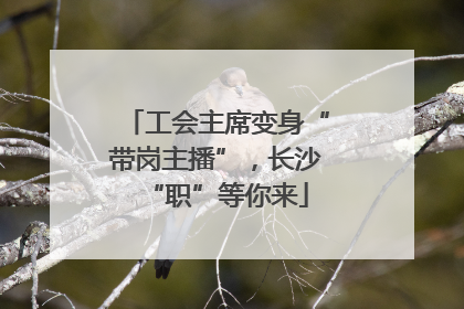 工会主席变身“带岗主播”，长沙“职”等你来