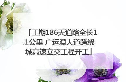 工期186天道路全长1.1公里 广运潭大道跨绕城高速立交工程开工