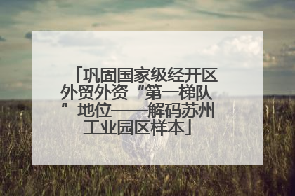 巩固国家级经开区外贸外资“第一梯队”地位——解码苏州工业园区样本