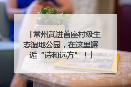常州武进首座村级生态湿地公园，在这里邂逅“诗和远方”！