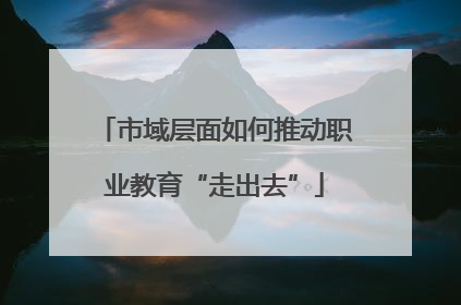 市域层面如何推动职业教育“走出去”