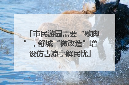 市民游园需要“歇脚”，舒城“微改造”增设仿古凉亭解民忧