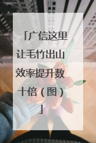 广信这里让毛竹出山效率提升数十倍（图）