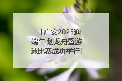 广安2025迎端午·划龙舟暨游泳比赛成功举行