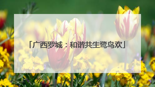 广西罗城：和谐共生鹭鸟欢