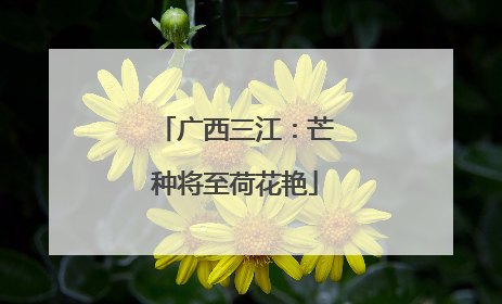 广西三江：芒种将至荷花艳