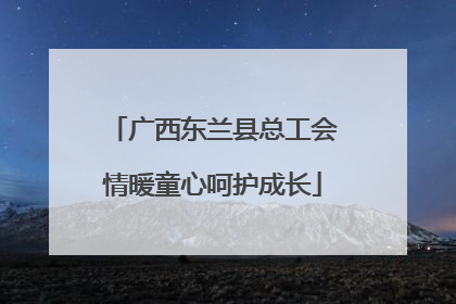 广西东兰县总工会情暖童心呵护成长