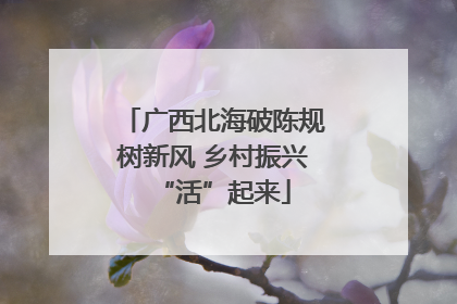 广西北海破陈规树新风 乡村振兴“活”起来