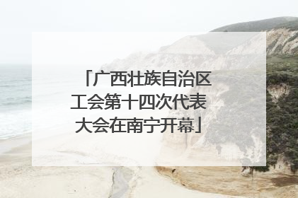 广西壮族自治区工会第十四次代表大会在南宁开幕