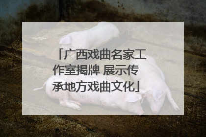 广西戏曲名家工作室揭牌 展示传承地方戏曲文化
