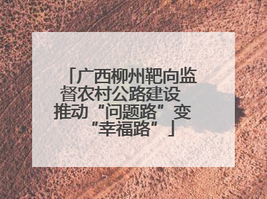 广西柳州靶向监督农村公路建设 推动“问题路”变“幸福路”
