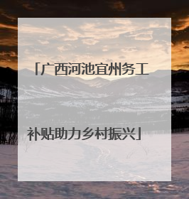 广西河池宜州务工补贴助力乡村振兴