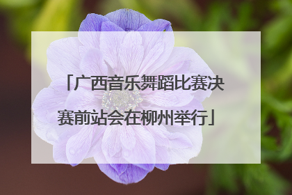 广西音乐舞蹈比赛决赛前站会在柳州举行