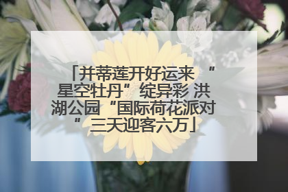 并蒂莲开好运来 “星空牡丹”绽异彩 洪湖公园“国际荷花派对”三天迎客六万