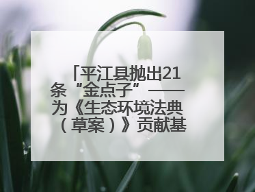 平江县抛出21条“金点子”——为《生态环境法典（草案）》贡献基层智慧