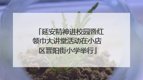 延安精神进校园暨红领巾大讲堂活动在小店区晋阳街小学举行